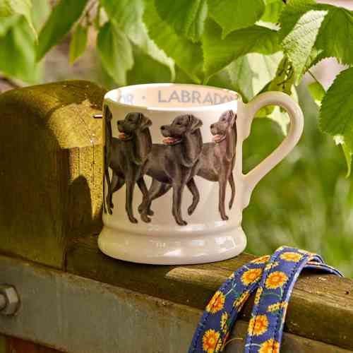 emma-bridgewater-dogs-black-labrador-half-pint-mug
