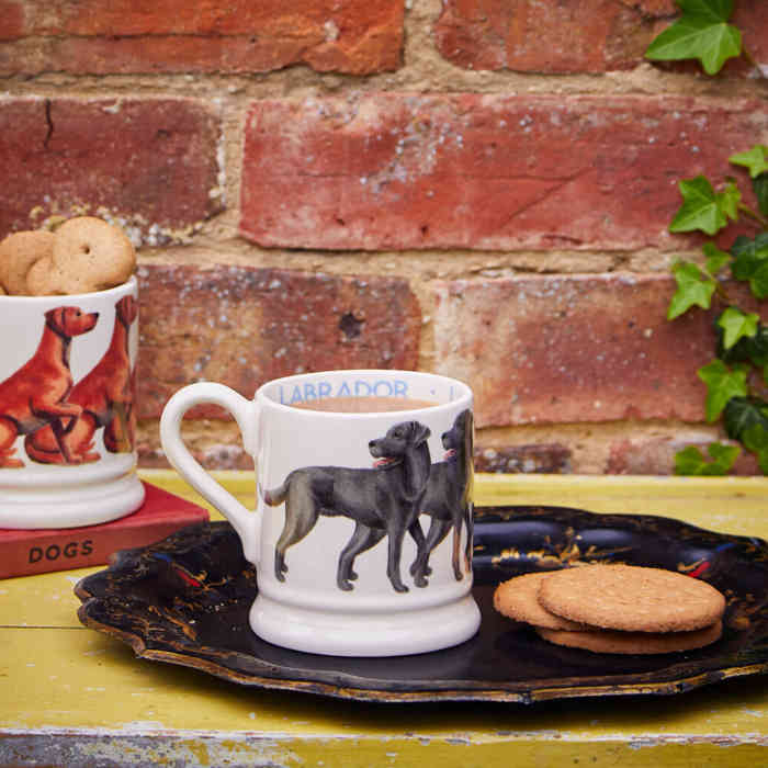 emma-bridgewater-dogs-black-labrador-half-pint-mug-1lab100002_0_gray-1