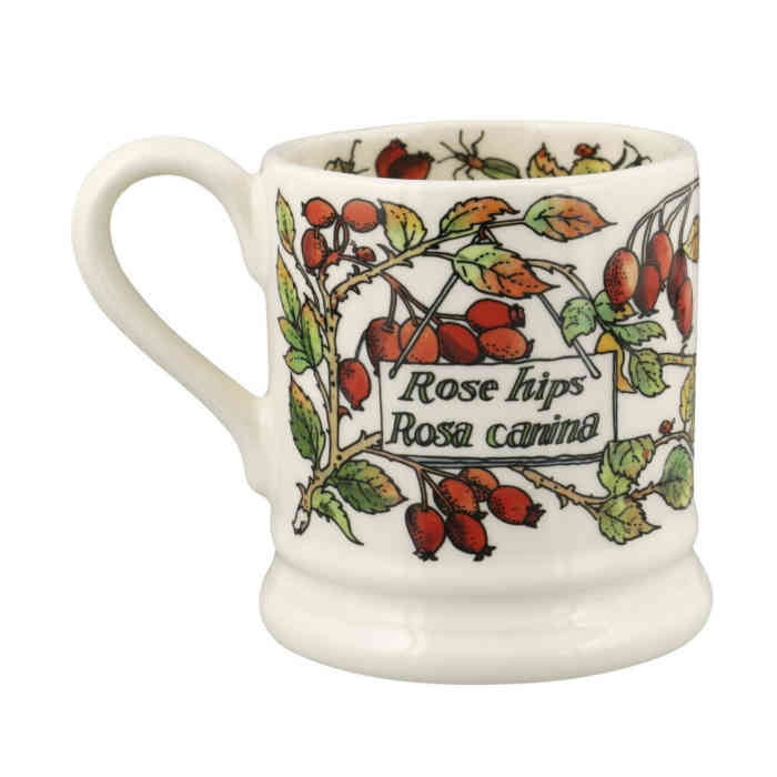 emma-bridgewater-roshehips-and-robins-half-pint-mug-rear