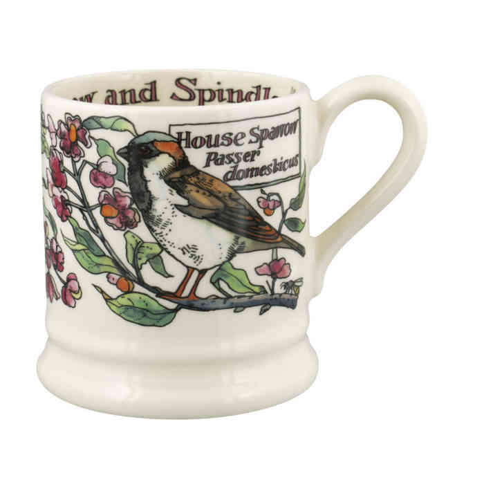 emma-bridgewater-birds-in-the-hedgerow-spindle-and-house-sparrow-half-pint-mug