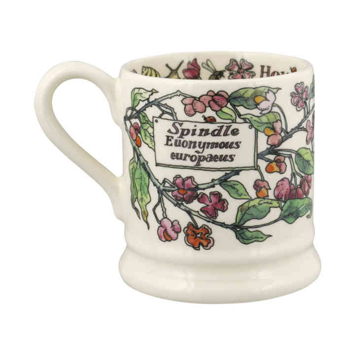 emma-bridgewater-birds-in-the-hedgerow-spindle-and-house-sparrow-half-pint-mug