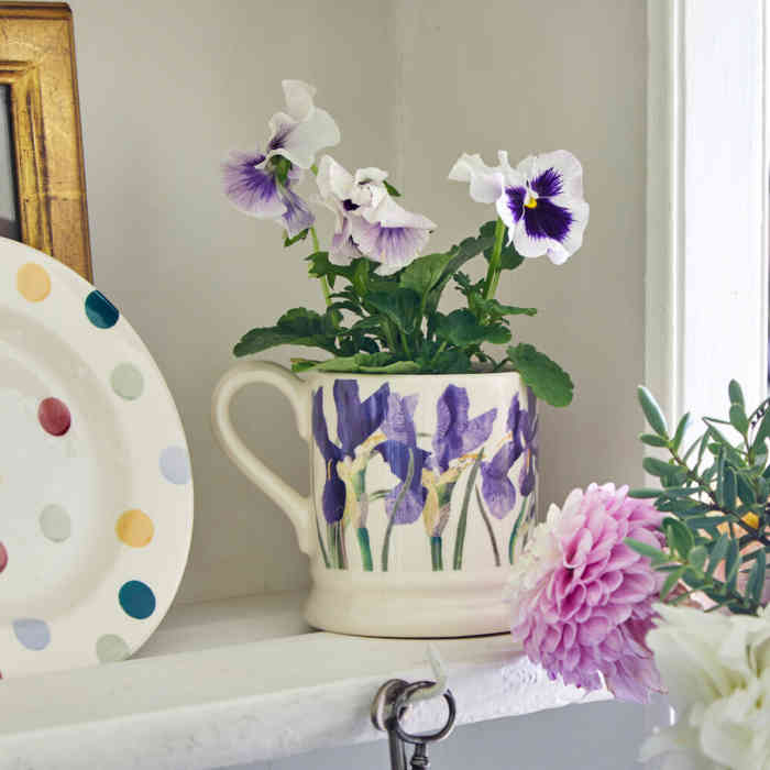 emma-bridgewater-flowers-iris-half-pint-mug