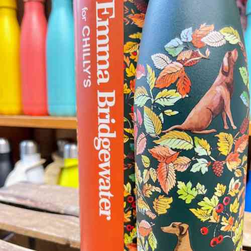 emma-bridgewater-dog-in-the-woods-500ml-chillys-bottle