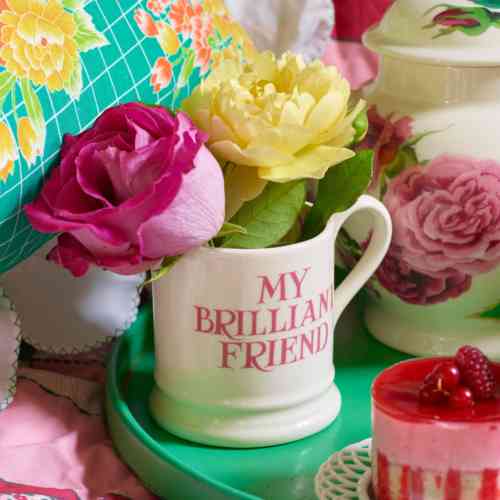 emma-bridgewater-pink-toast-my-brilliant-friend-half-pint-mug