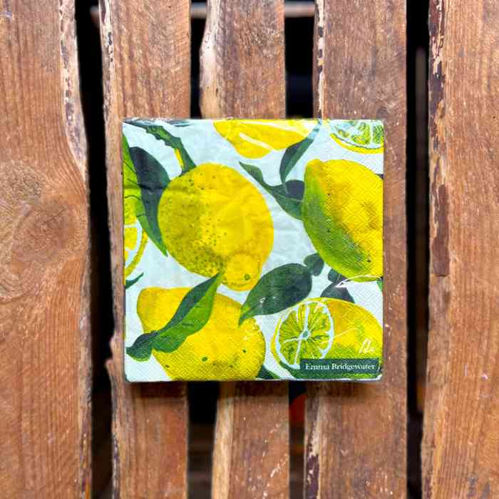 emma-bridgewater-lemons-lunch-napkins