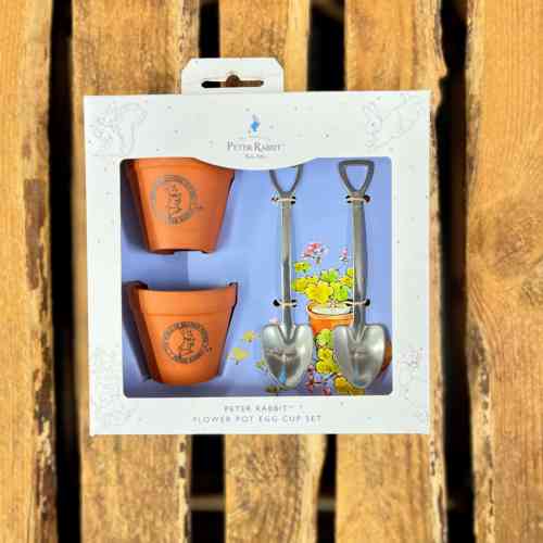 peter-rabbit-flower-pot-egg-cup-and-spoon-set