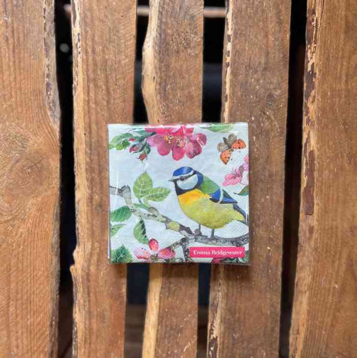 emma-bridgewater-blossom-bird-napkins-2-sizes