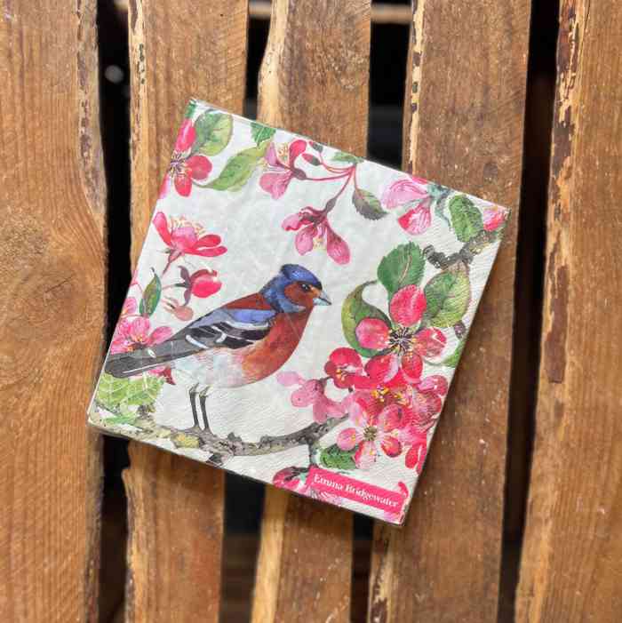 emma-bridgewater-blossom-bird-napkins-2-sizes