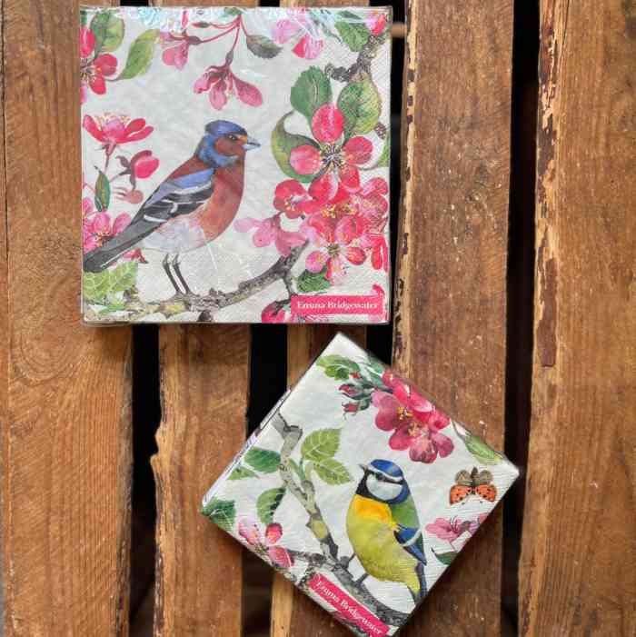 emma-bridgewater-blossom-bird-napkins-2-sizes