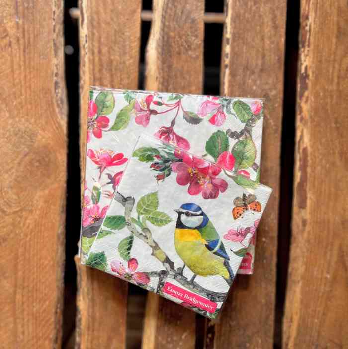 Emma Bridgewater Blossom & Bird Napkins – 2 sizes