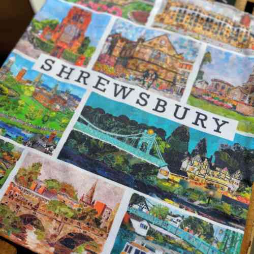 lyn-evans-shrewsbury-cotton-tote-bag Born in Shrewsbury, local artist Lyn Evans takes inspiration for her inimitable torn paper collages from her beautiful hometown and its surroundings. Every composition starts with Lyn searching through glossy magazines to select the perfect colour palette. Each piece of paper is then hand torn by Lyn and arranged to create the unique artwork you see here.