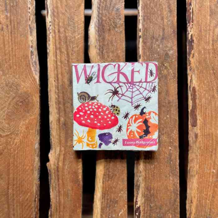 emma-bridgewater-halloween-spooky-spells-cocktail-napkins