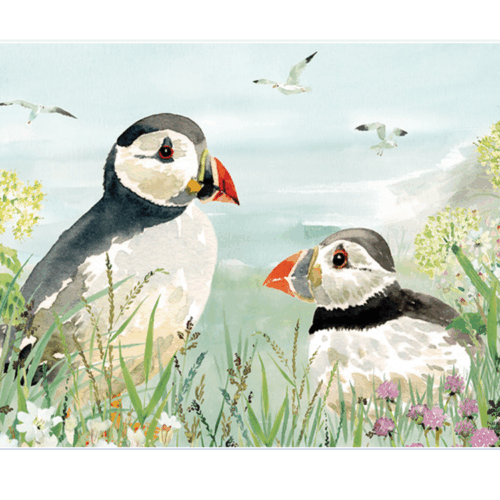 national-trust-puffin-medium-glass-worktop-protector