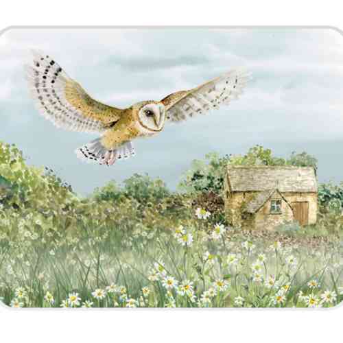 national-trust-barn-owl-medium-glass-worktop-protector