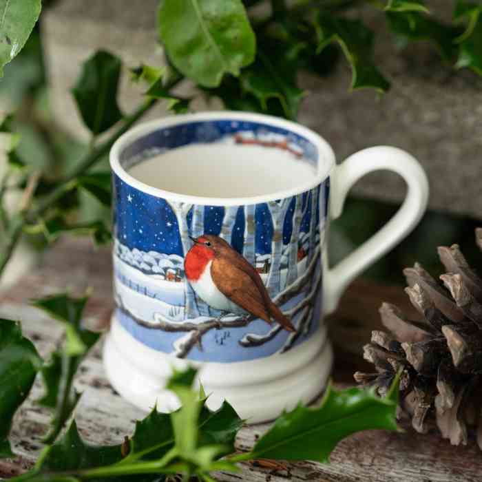 emma-bridgewater-midnight-robin-half-pint-mug