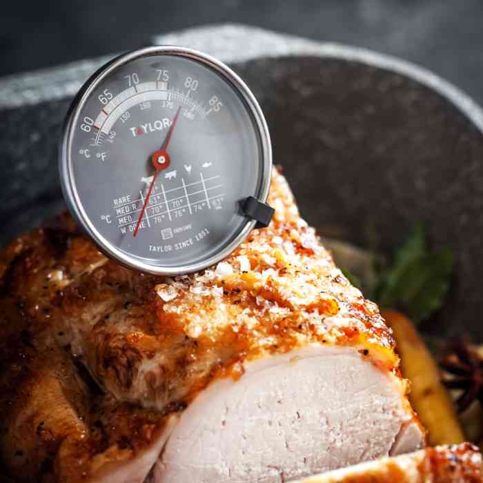 taylor-pro-leave-in-meat-thermometer