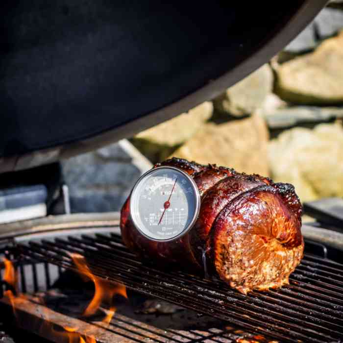 taylor-pro-leave-in-meat-thermometer