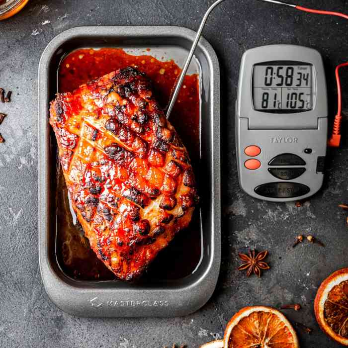taylor-pro-digital-probe-meat-thermometer-and-timer
