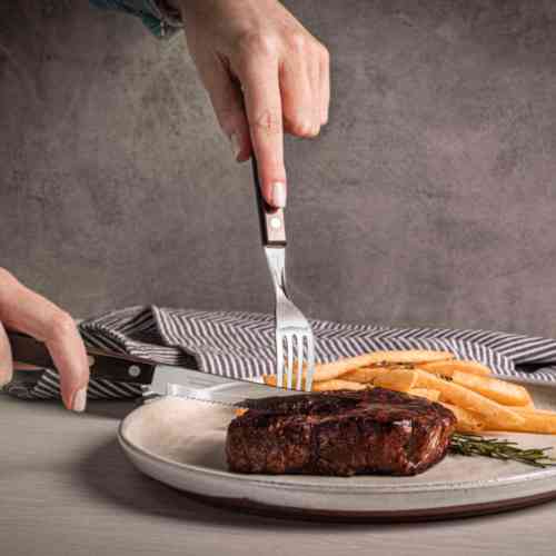 tramontina-polywood-handle-steak-fork