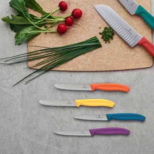 victorinox-swiss-classic-lifestyle