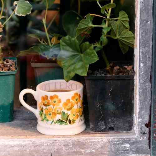 emma-bridgewater-buttercup-small-mug