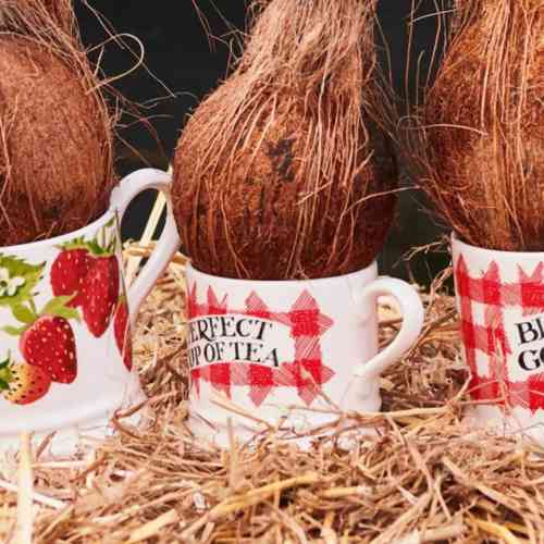 emma-bridgewater-red-gingham-small-mug